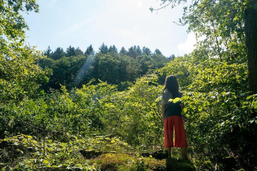 Camping Bockenauer Schweiz Buitenkant foto