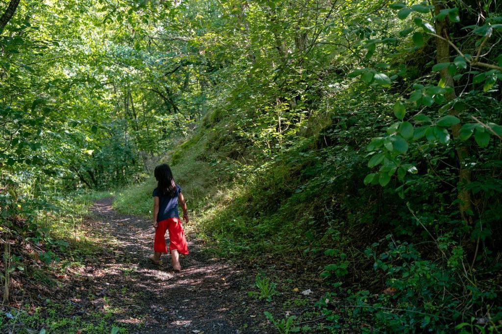 Camping Bockenauer Schweiz Buitenkant foto